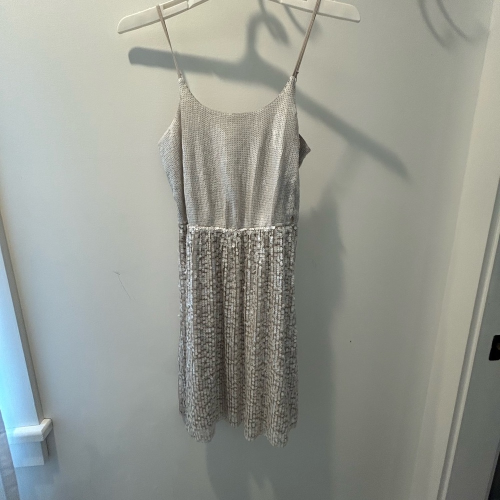 Express Silver Sequin Dress